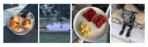 Little moments, lots of joy. Peach parfait, morning walk, strawberry jam, puppy pic